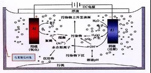 我買了一個甲醛檢測儀，吹口氣后發(fā)現(xiàn)原來我才是“地表最強”污染源！