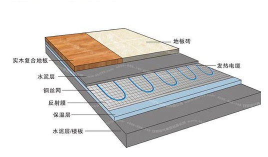 冬季，它們成了甲醛的幫兇