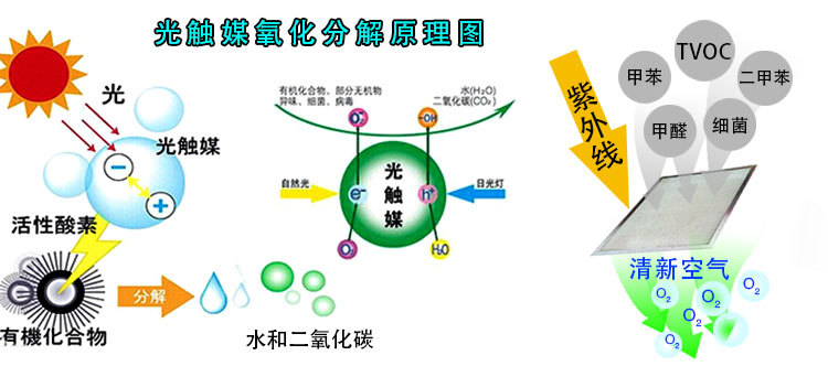 如何去選擇好的除甲醛公司