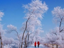 如何解決冬季室內(nèi)和車內(nèi)環(huán)境污染問題的問題呢？