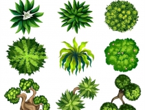 可以凈化室內(nèi)空氣的植物，這二十種您需要好好了解一下！