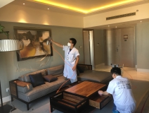 除甲醛公司排名上為什么一直有他？
