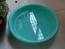 裝修完僅靠兩盆冷水就能除甲醛？這個說法連網(wǎng)友都出來辟謠！大家別再相信了！