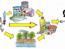 食品中有塑化劑嗎？這些食品中含有大量塑化劑，食用時一定要注意！