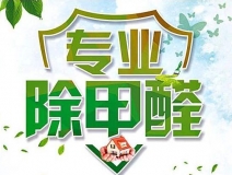 除甲醛公司的專業(yè)性表現(xiàn)在哪些方面？