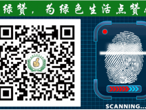 萬萬沒想到！床品上也會有甲醛污染