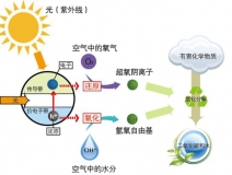 三步辨別甲醛治理好產(chǎn)品——光觸媒