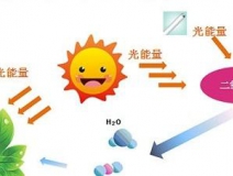 甲醛治理用什么辦法最正確？這三點常見的除甲醛辦法其實是誤區(qū)