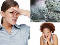家里有異味怎么辦？科學(xué)除味、治理甲醛就對(duì)了！