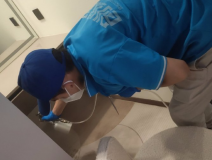 地毯也會引起甲醛超標嗎？