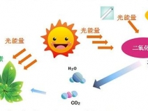 光觸媒去除房間甲醛爭(zhēng)議很大？