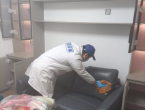 哪種方法除甲醛才是真正有效的呢？