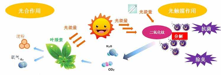 家中甲醛超標(biāo)，什么才是甲醛治理的正確姿勢(shì)？